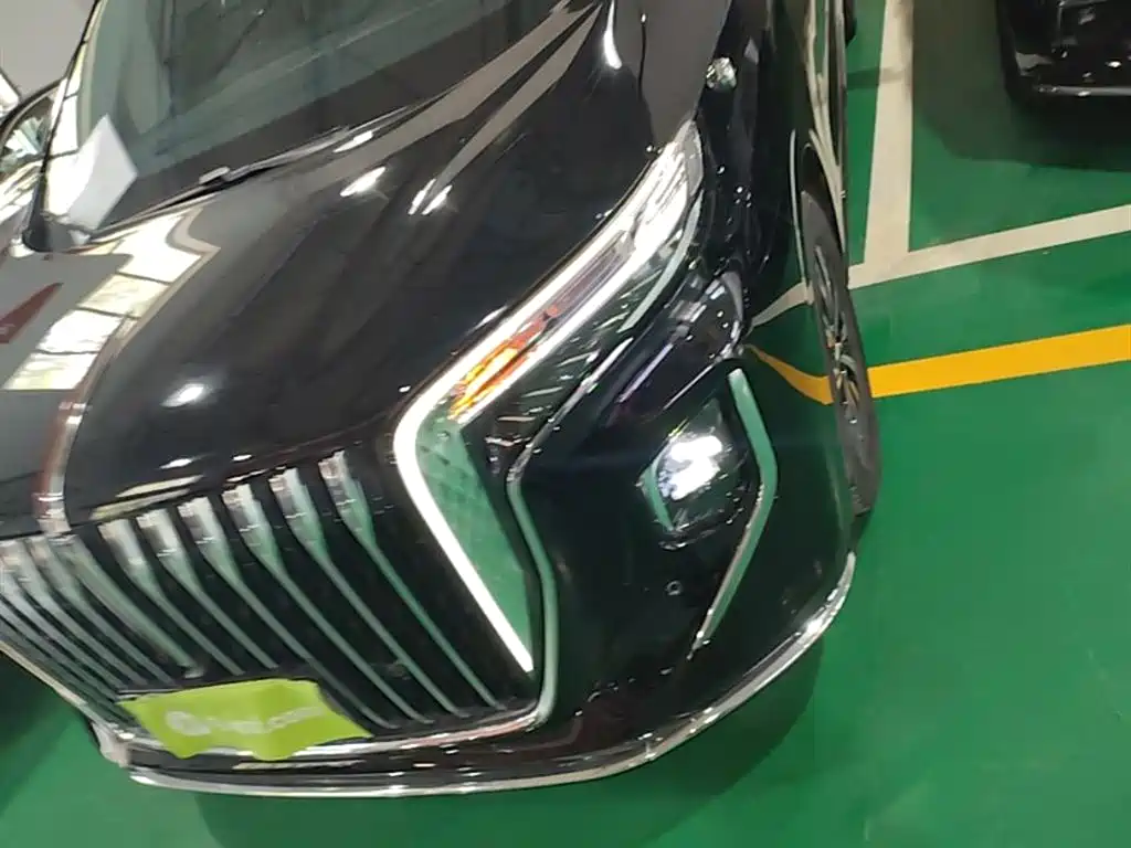 Hongqi HQ9 PHEV 2024 Model 2.0T AWD Business Edition фото 24
