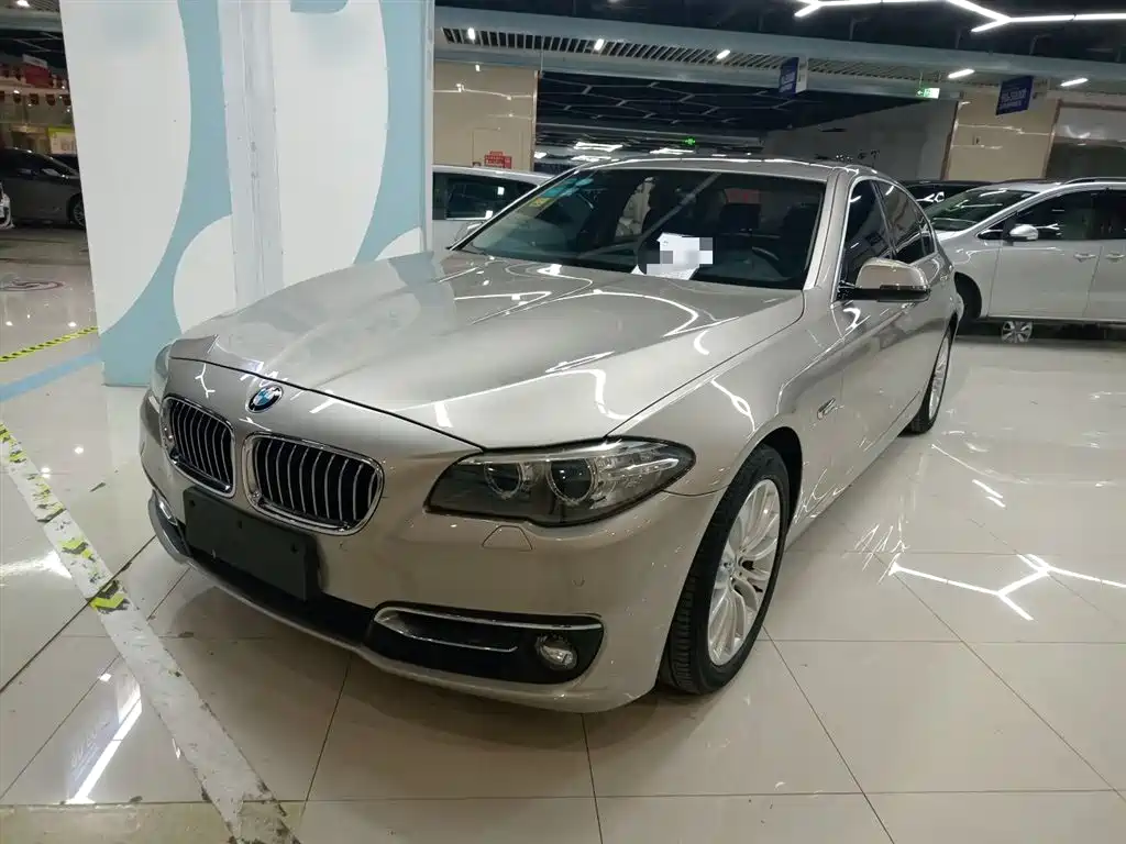 BMW 5 Series 2014 525Li Luxury Design Package фото 2