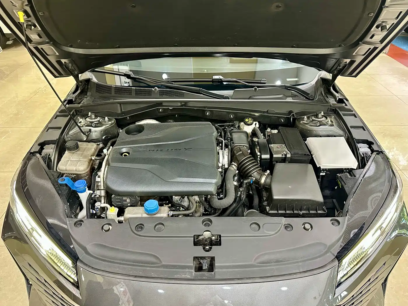 Changan Yida 2023 2023 Blue Whale NE 1.5T GDI DCT Exclusive