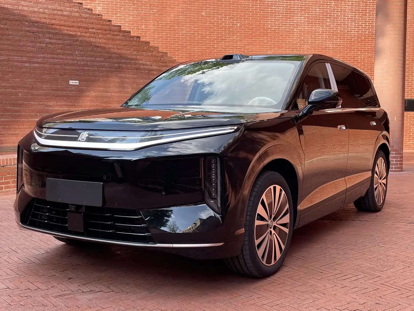 BYD Dynasty-D