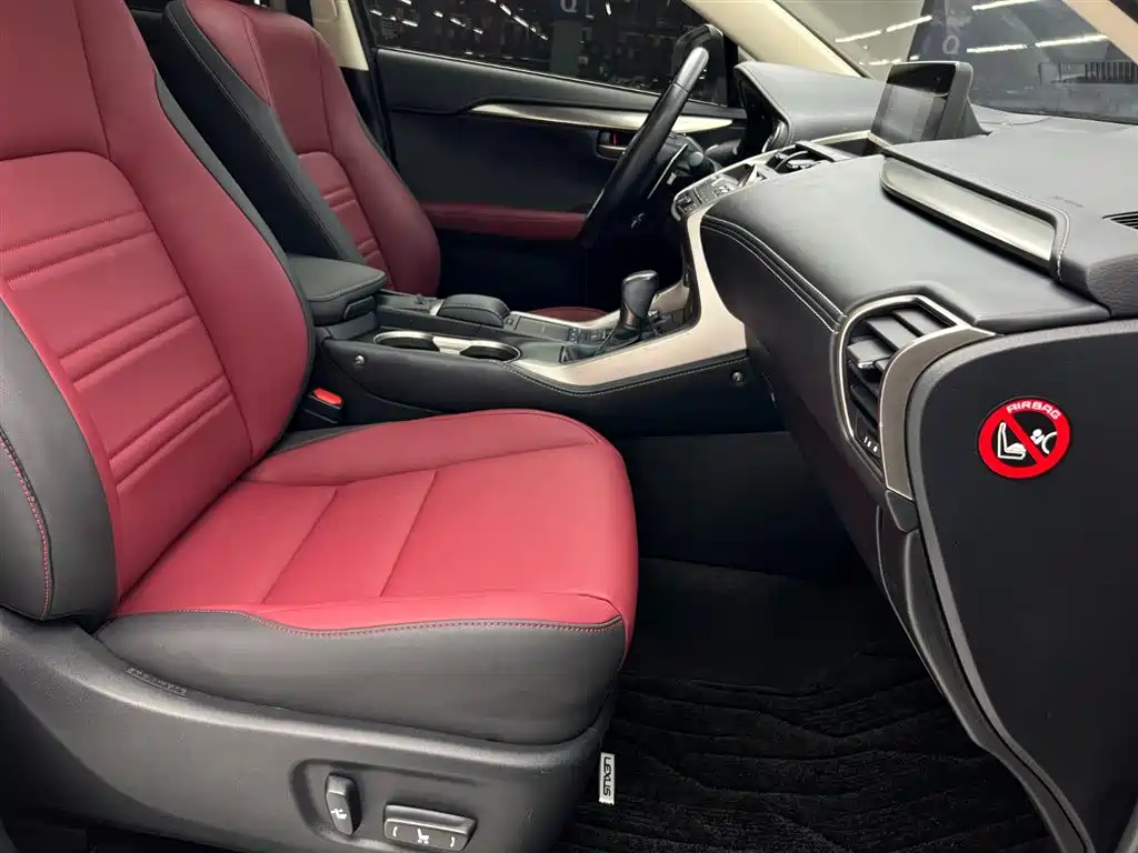 Lexus NX 2020 200 AWD F Sport China VI фото 21