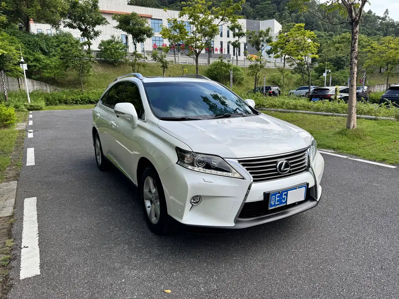 Lexus RX Classic 2014 2013 Model 350 Elegance
