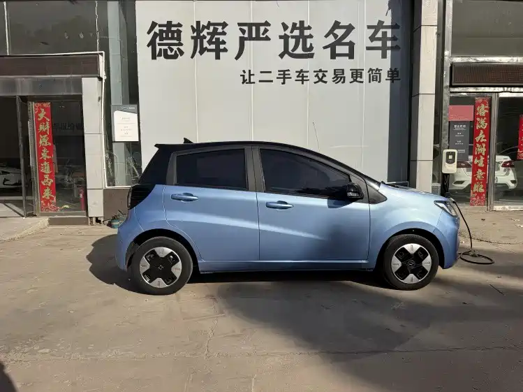 Sehol Flower Fairy 2023 2023 Anniversary Edition 306km Lavender 30kW