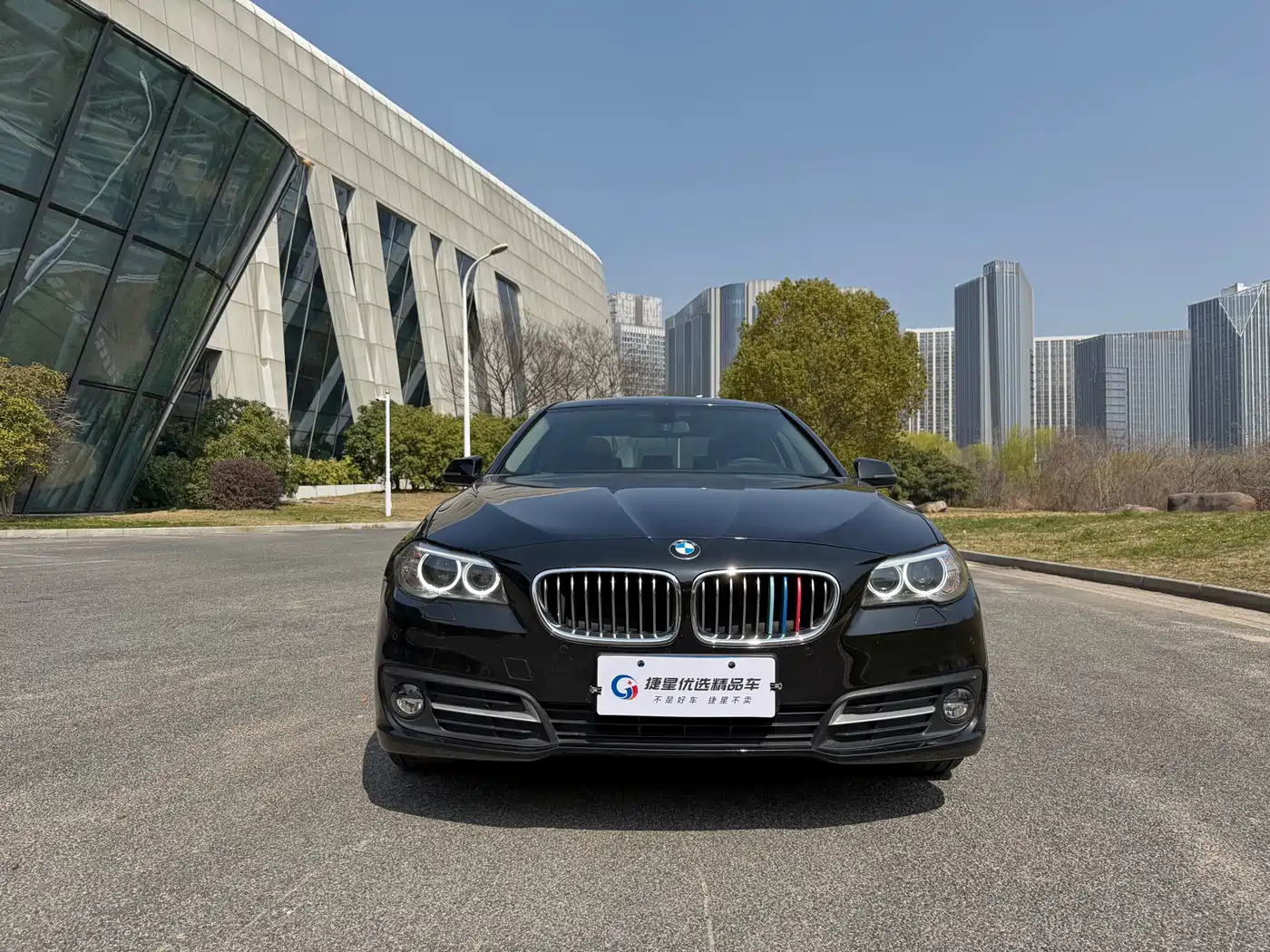 BMW 5 Series 2014 520Li Elegance фото 2