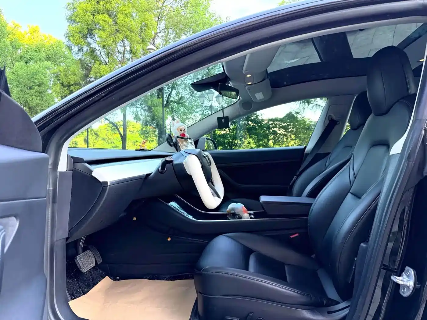 Tesla Model 3 2020 2019 Standard Range Rear-Wheel Drive Upgrade