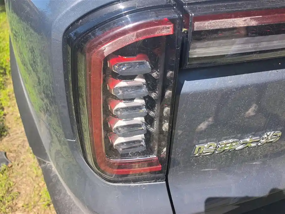 Haval Big Dog 2021 1.5T DCT 2WD Border Collie Edition фото 4