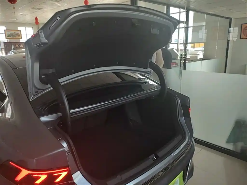 BYD Qin PLUS 2023 Champion Edition DM-i 55KM Leading фото 19