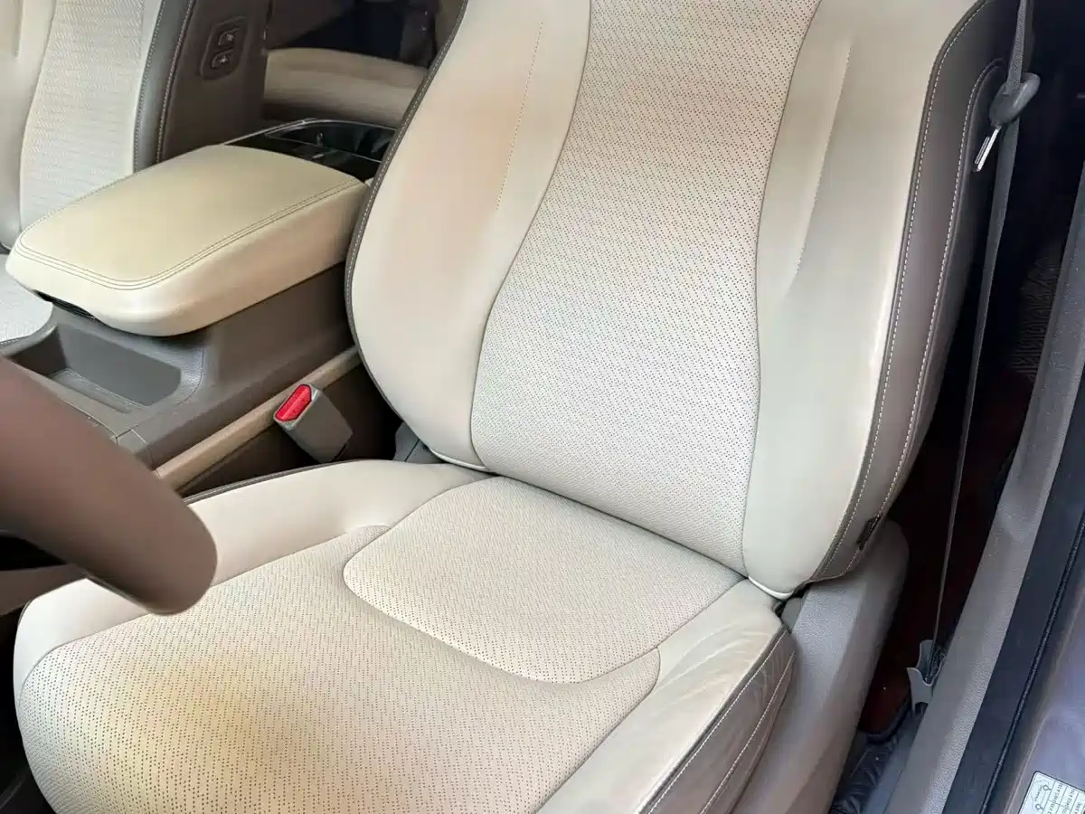 Kia Carnival 2021 2021 2.0T Flagship Edition