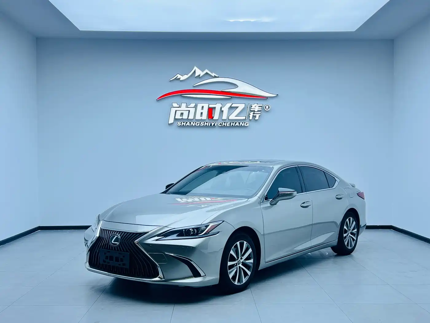 Lexus ES 2020 Model 260 Excellence Edition