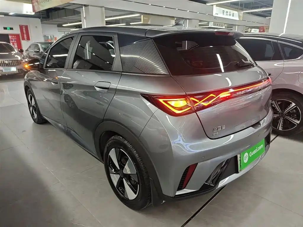 BYD Dolphin 2023 420km Fashion Edition фото 5