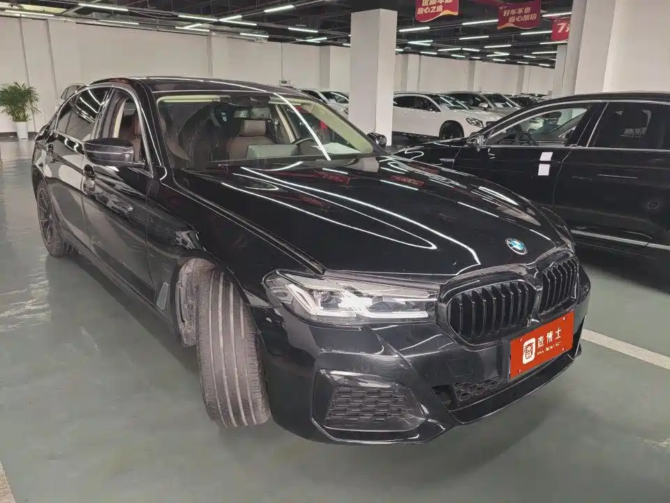 BMW 5 Series 2021 530Li Leading Luxury Package фото 3
