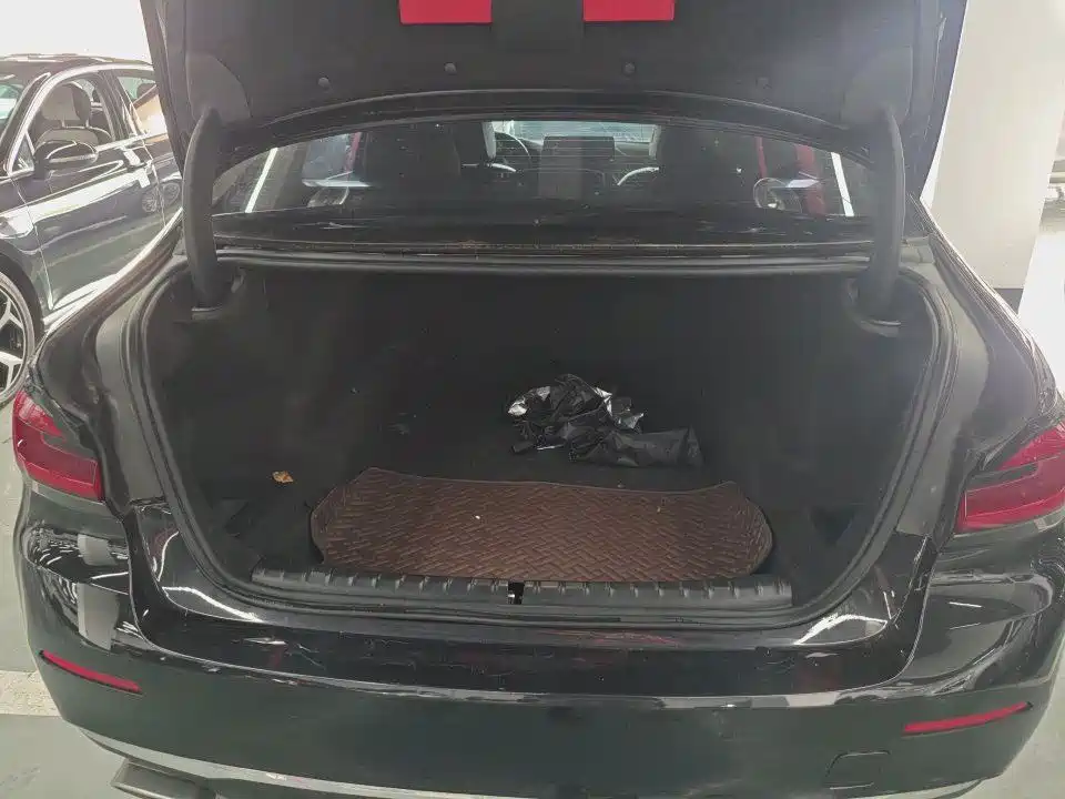 BMW 5 Series 2021 530Li Leading Luxury Package фото 8