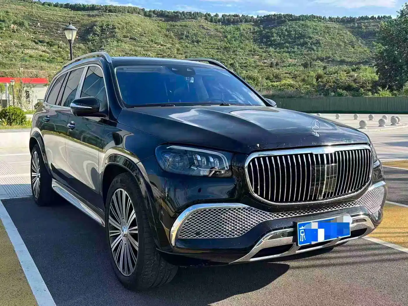 Mercedes-Benz Maybach GLS 2021 GLS 480 4MATIC фото 2