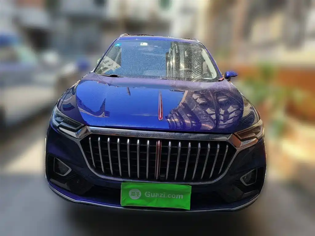 Hongqi HS5 2019 2.0T Smart Connect Enjoy 4WD Edition фото 3