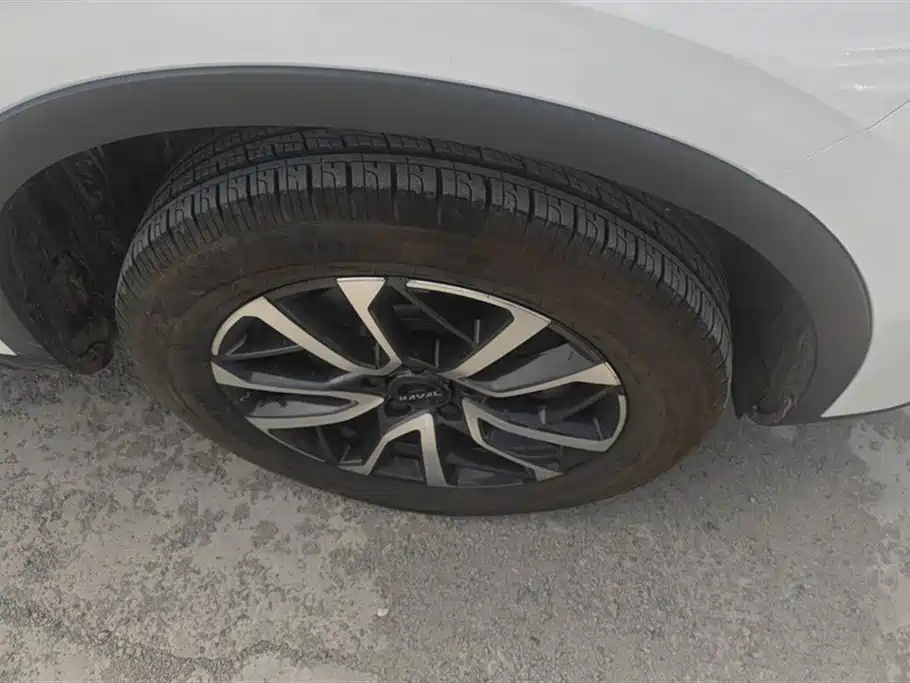 Haval H6 2021 3rd Gen 1.5T Auto 2WD Pro фото 6