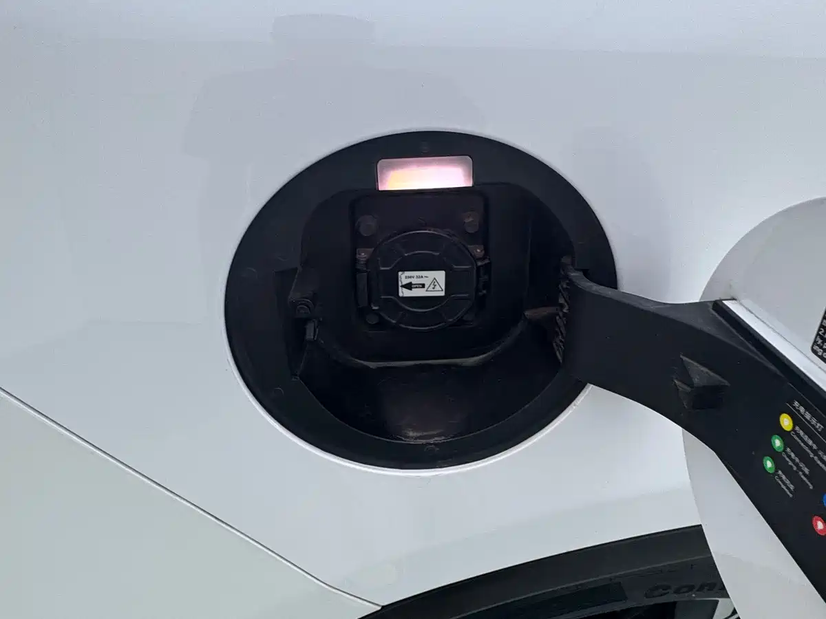 BYD Tang New Energy 2021 DM 2.0T AWD High Performance Premium фото 16