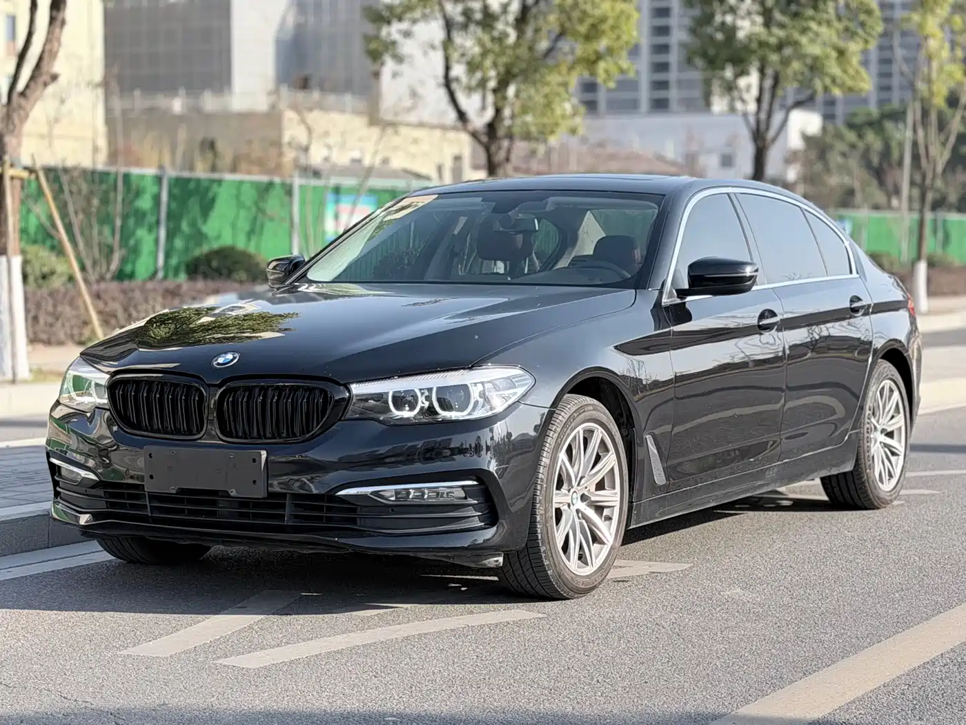 BMW 5 Series 2018 528Li Launch Special Edition