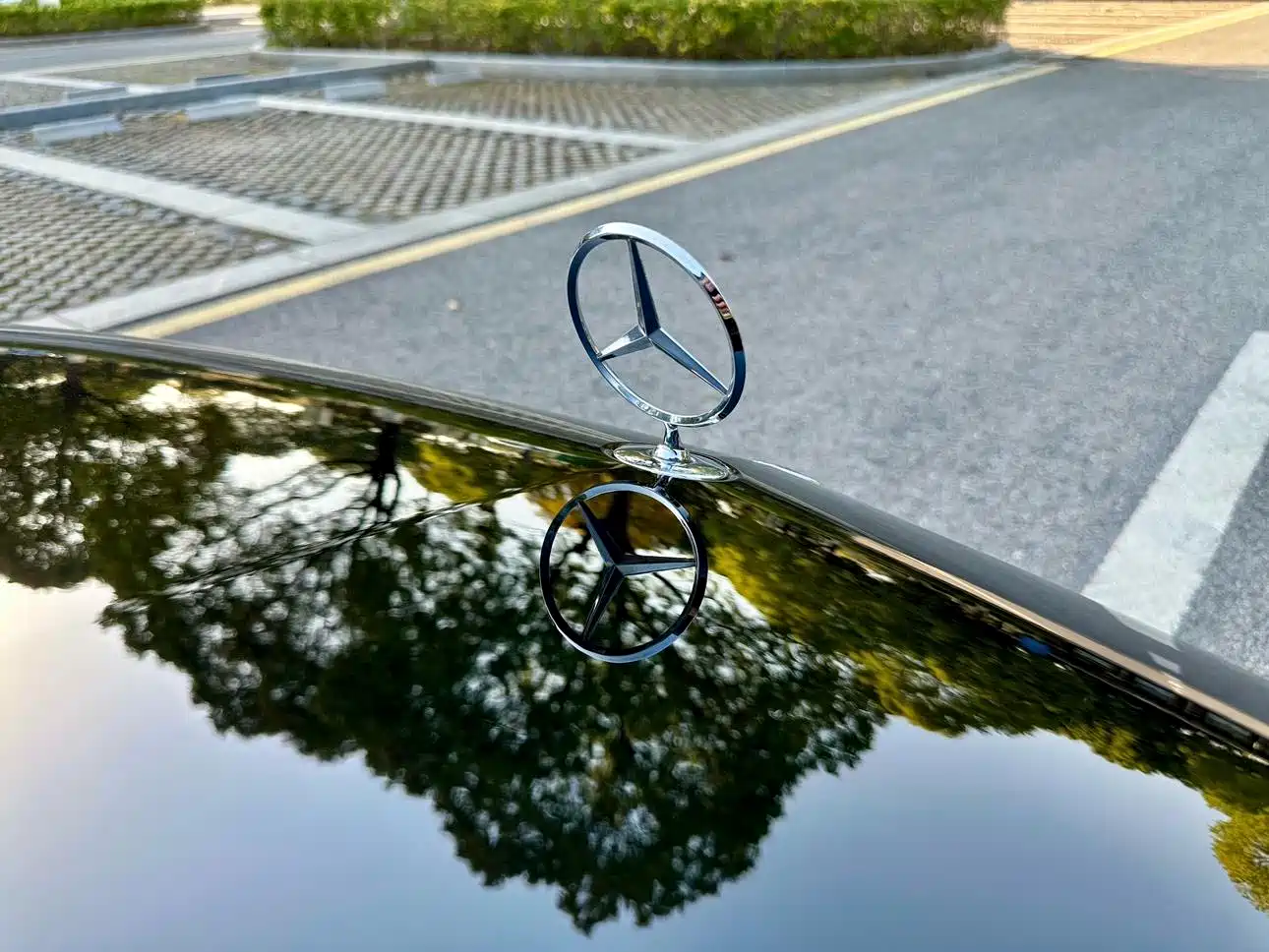 Mercedes-Benz S-Class 2012 S 300 L Luxury Grand Edition фото 17