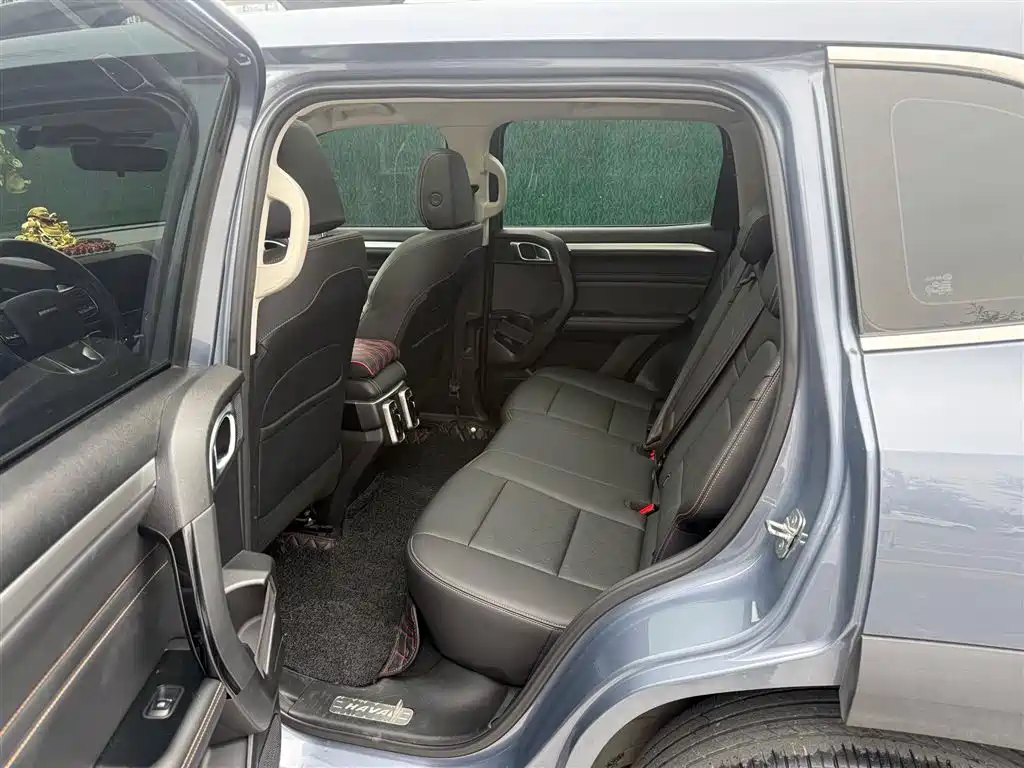 Haval Big Dog 2021 1.5T DCT 2WD Border Collie Edition фото 6