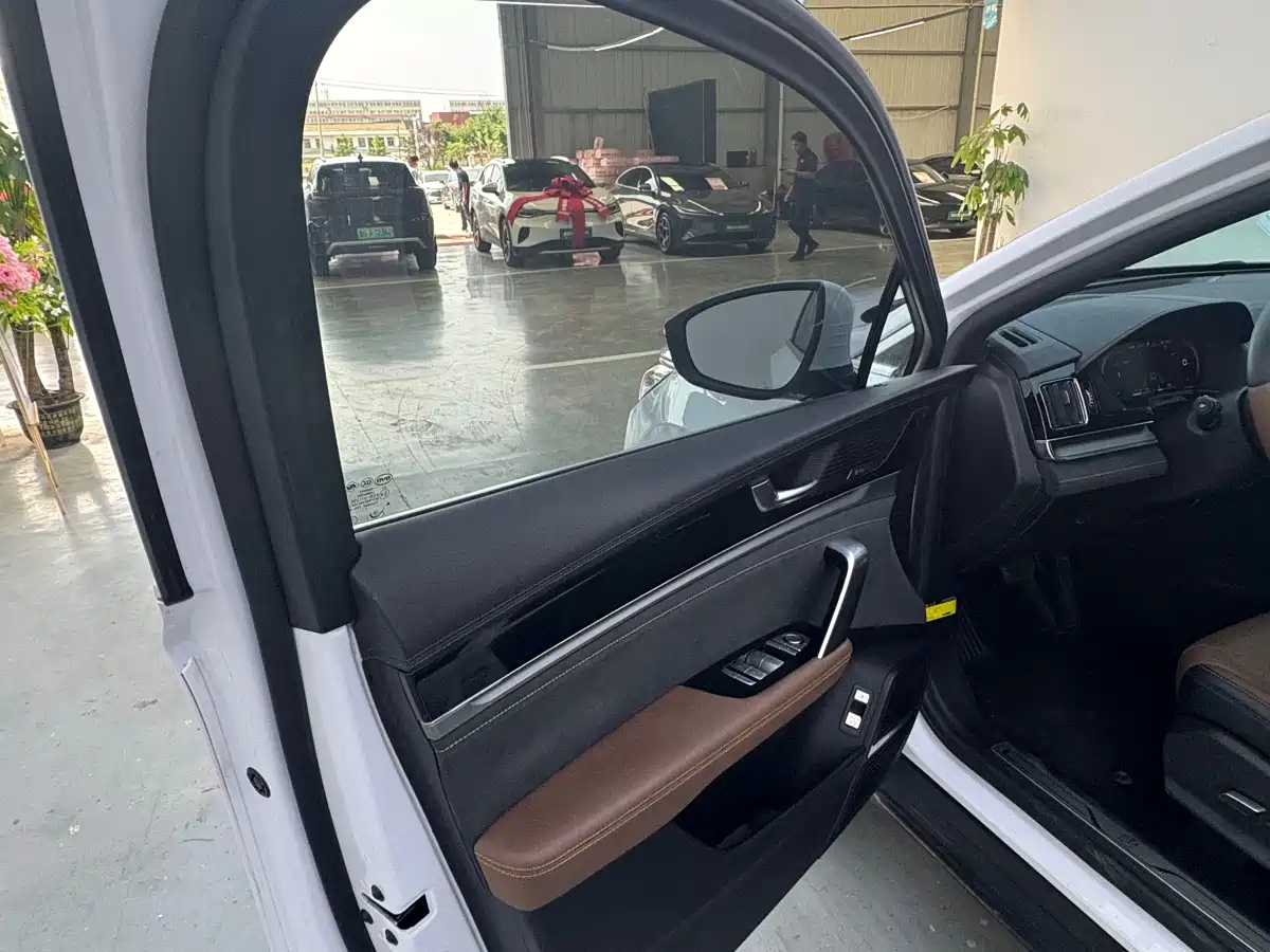 BYD Tang New Energy 2021 DM 2.0T AWD High Performance Premium фото 8