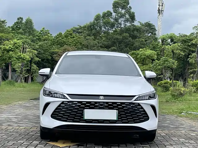 BYD Qin PLUS 2025 DM-i Smart Drive 55KM Leader — фото 3