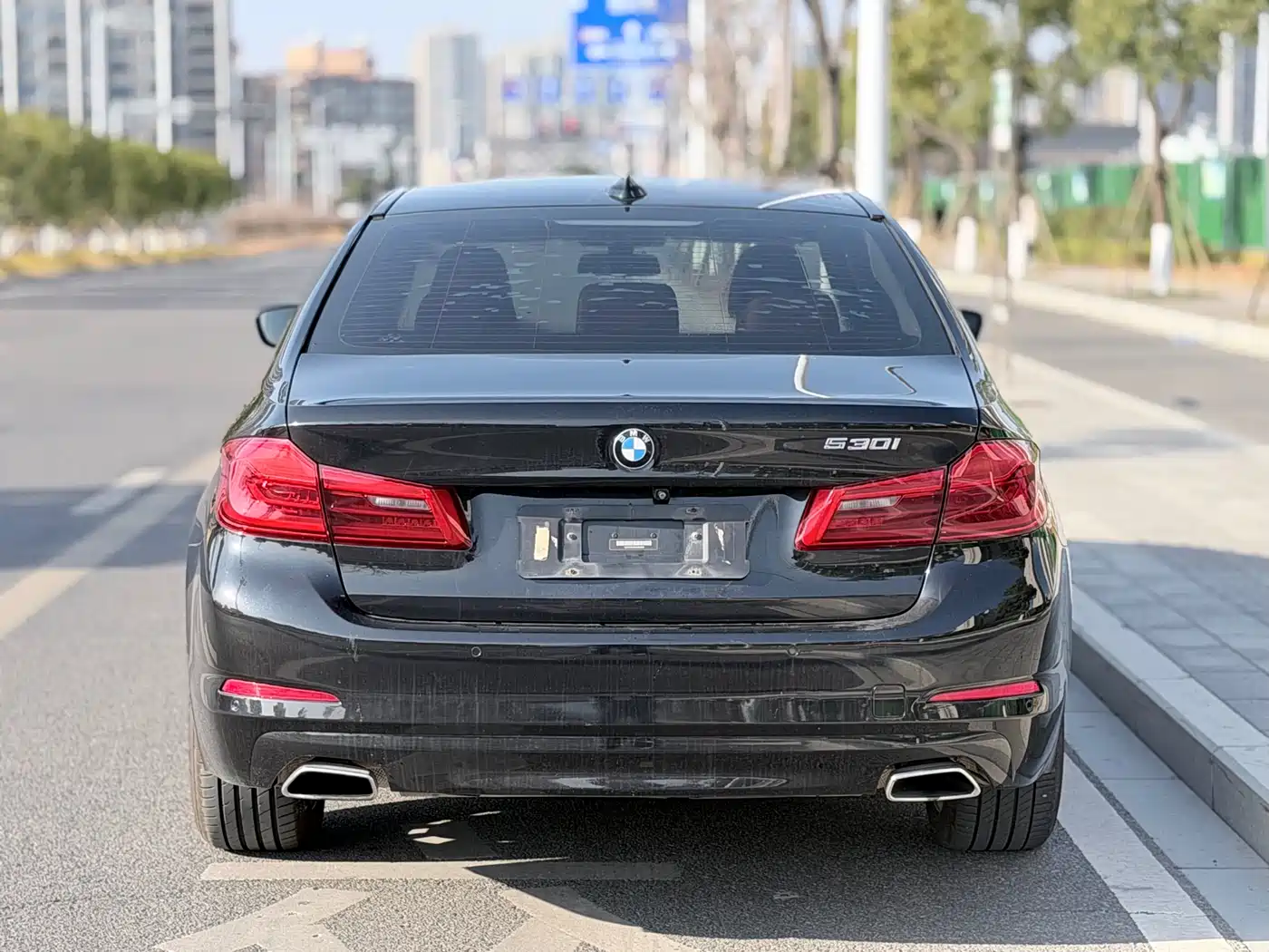 BMW 5 Series 2018 528Li Launch Special Edition фото 14