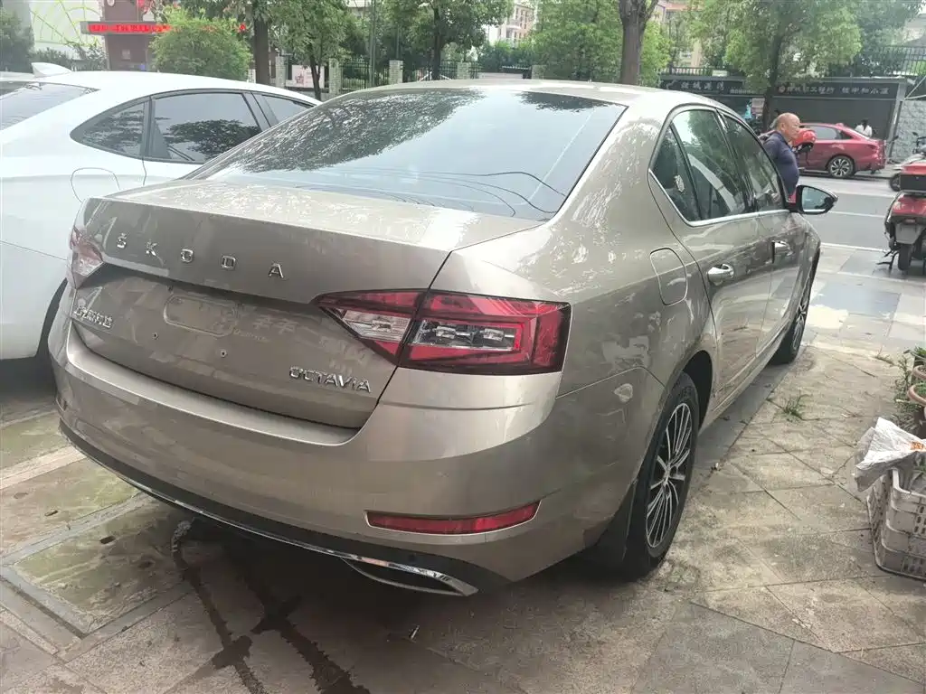 Škoda Octavia 2019 1.5L Automatic Smart Luxury Edition China V фото 7