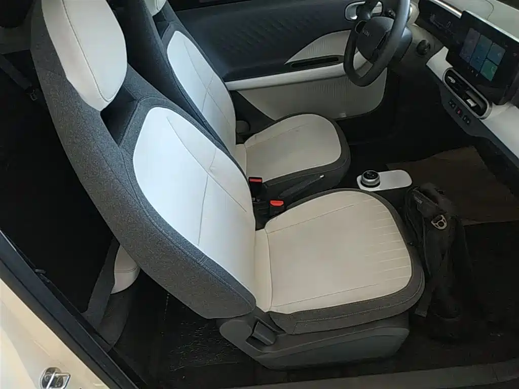 Geely Galaxy Panda 2025 Panda mini 210km Vitality Bear фото 25