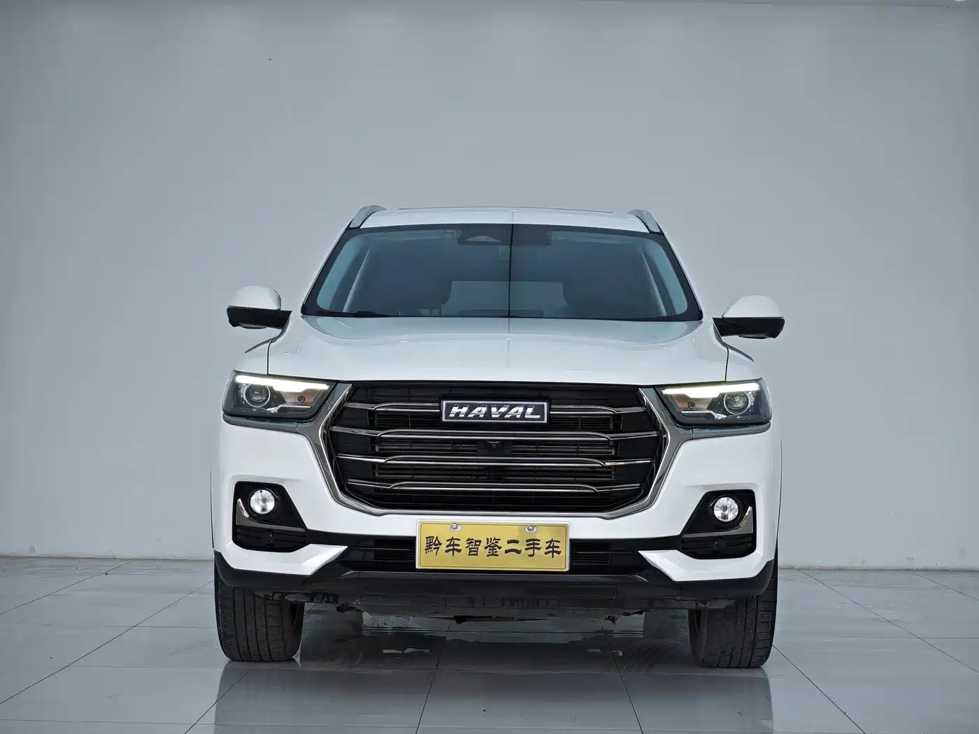 Haval H6 2023 National Trend Edition 1.5T Automatic Champion фото 2