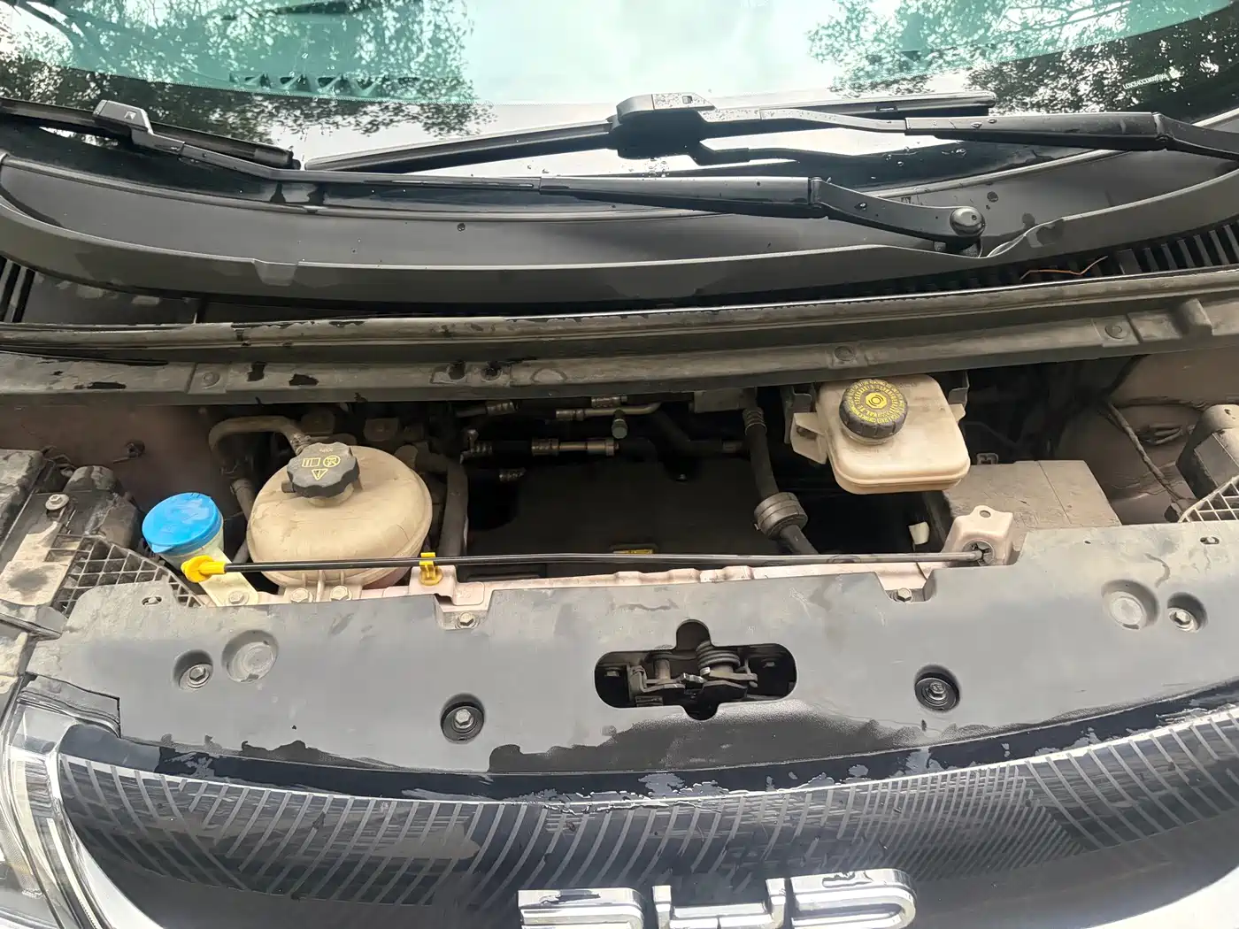 BYD Dolphin 2021 2021 Model 405km Fashion Edition