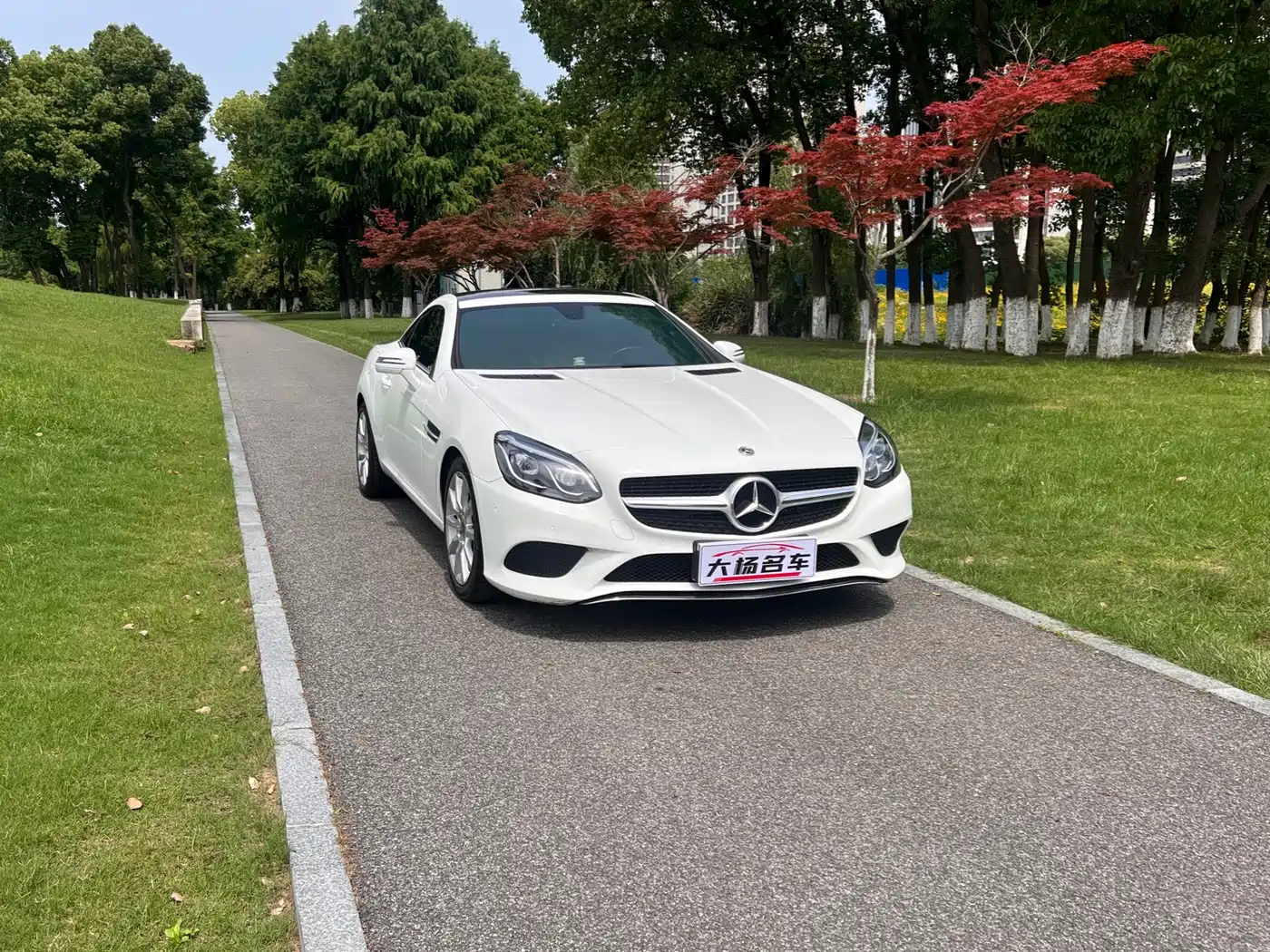 Mercedes-Benz SLC 2018 SLC 260 Dynamic фото 3