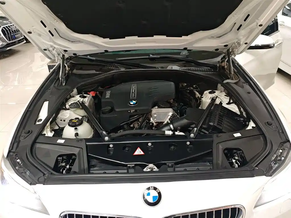 BMW 5 Series 2014 525Li Luxury Design Package фото 20