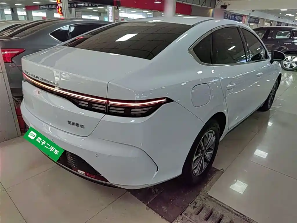 BYD Destroyer 05 2024 Glory Edition DM-i 55KM Luxury фото 7