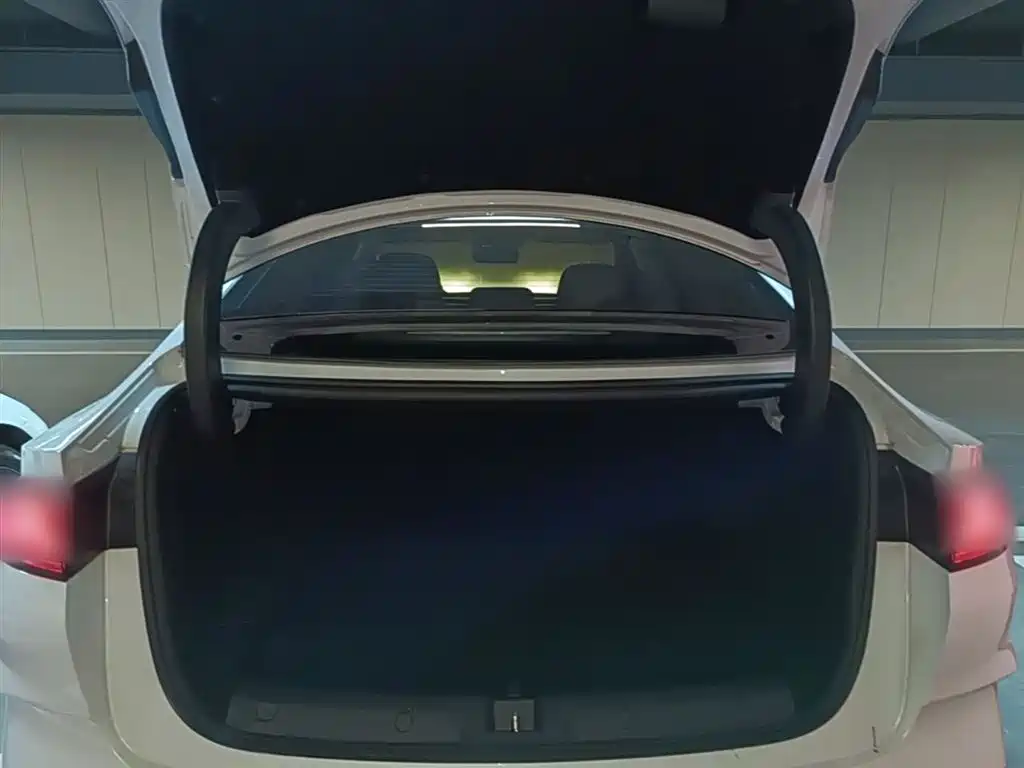 BYD Qin L 2024 DM-i 120KM Superior Edition фото 19