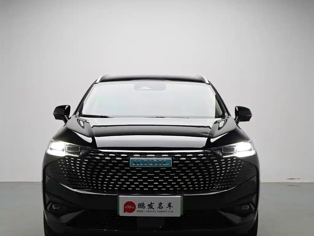 Haval H6 New Energy 2023 DHT-PHEV 110KM Smooth Edition фото 2