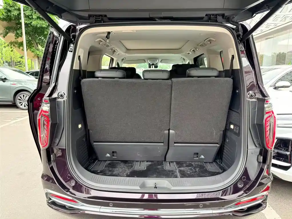 Hongqi HQ9 PHEV 2024 Model 2.0T AWD Luxury Edition фото 9