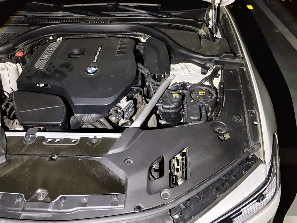 BMW 5 Series 2020 530Li Leading M Sport Package фото 21