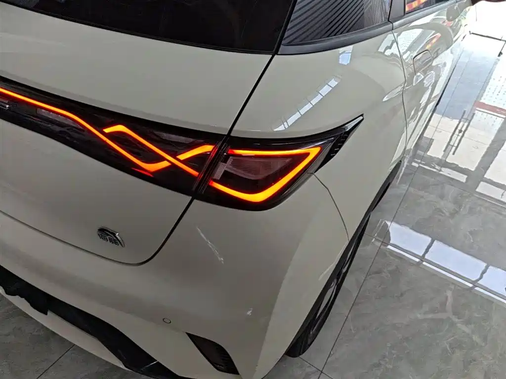 BYD Dolphin 2023 420km Fashion Edition фото 8