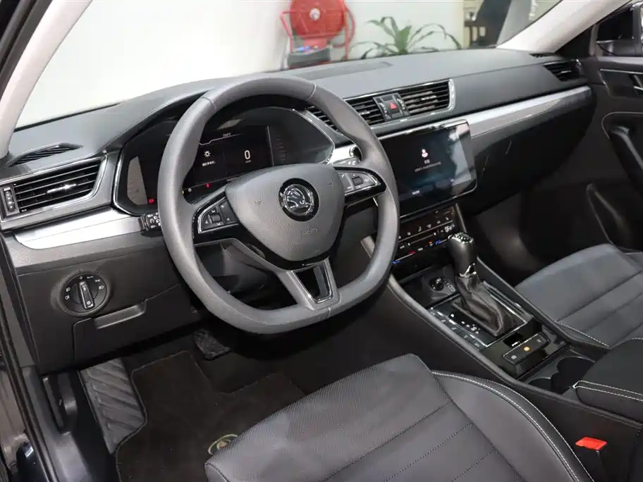 Škoda Superb 2024 TSI280 DSG Premium Edition фото 10