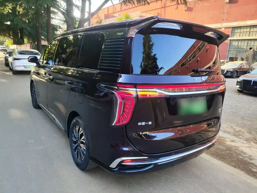 Hongqi HQ9 PHEV 2024 Model 2.0T AWD Luxury Edition фото 5