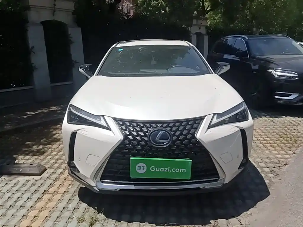 Lexus UX 2020 260h Explore Enjoy Edition фото 3