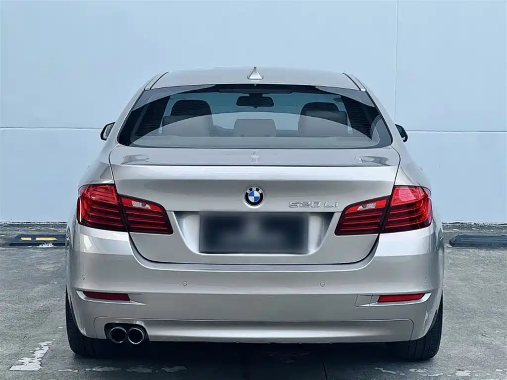 BMW 5 Series 2014 520Li Elegance фото 21