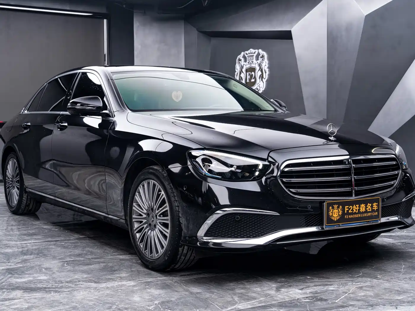 Mercedes-Benz E-Class 2023 E 300 L Luxury фото 7