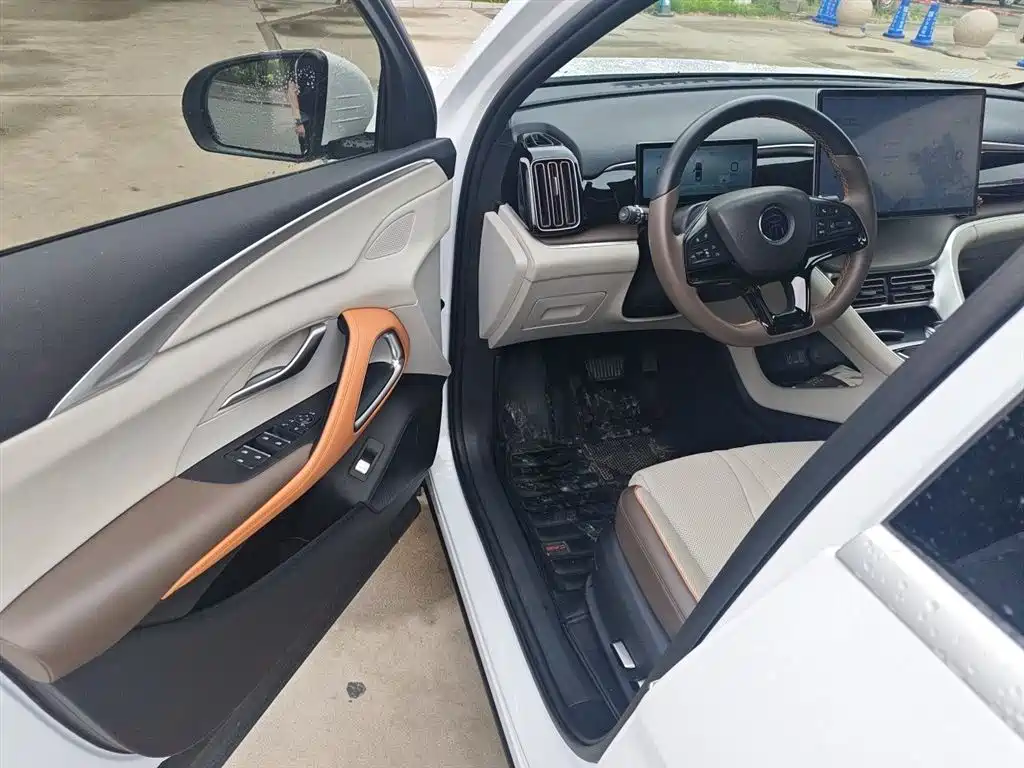 BYD Song Pro New Energy 2023 Champion Edition DM-i 110KM Excellence фото 12