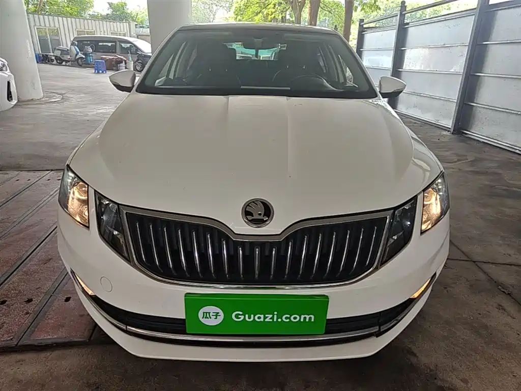 Škoda Octavia 2018 TSI230 DSG Luxury Edition фото 3