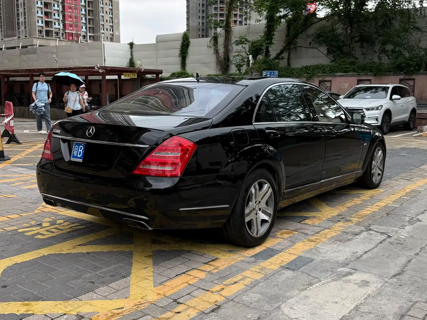 Mercedes-Benz S-Class 2010 S 600 L фото 17