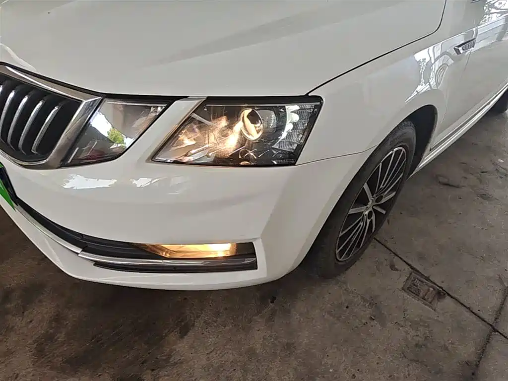 Škoda Octavia 2018 TSI230 DSG Luxury Edition фото 24
