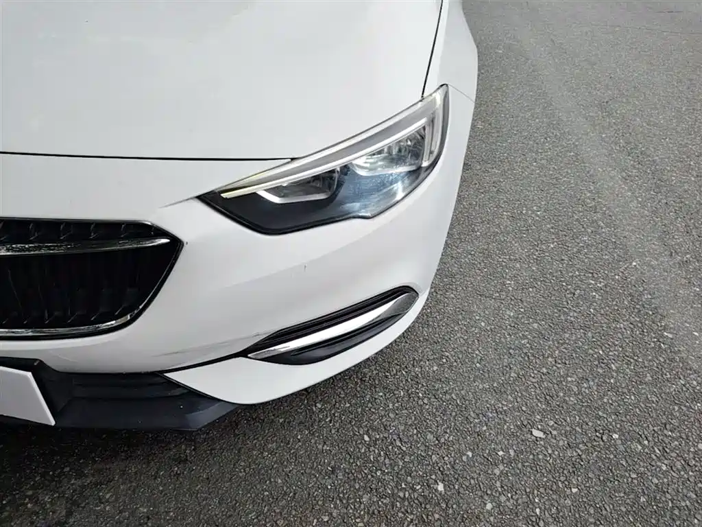 Buick Regal 2017 20T Elite Type фото 24