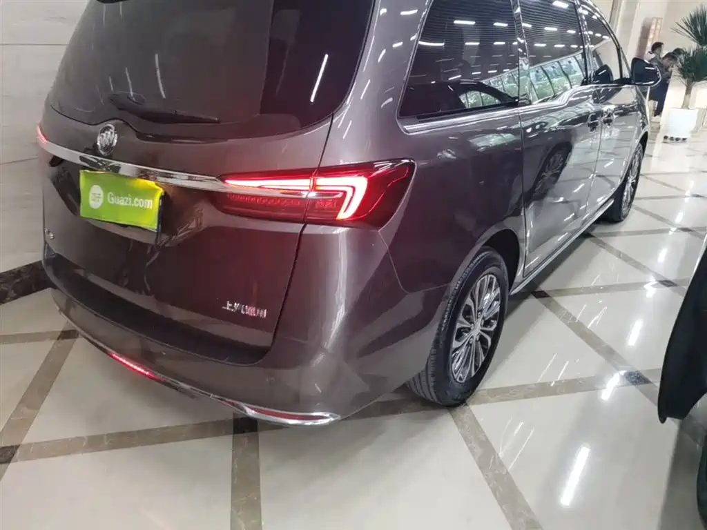 Buick GL8 2023 Model Land Business Class Comfort фото 8