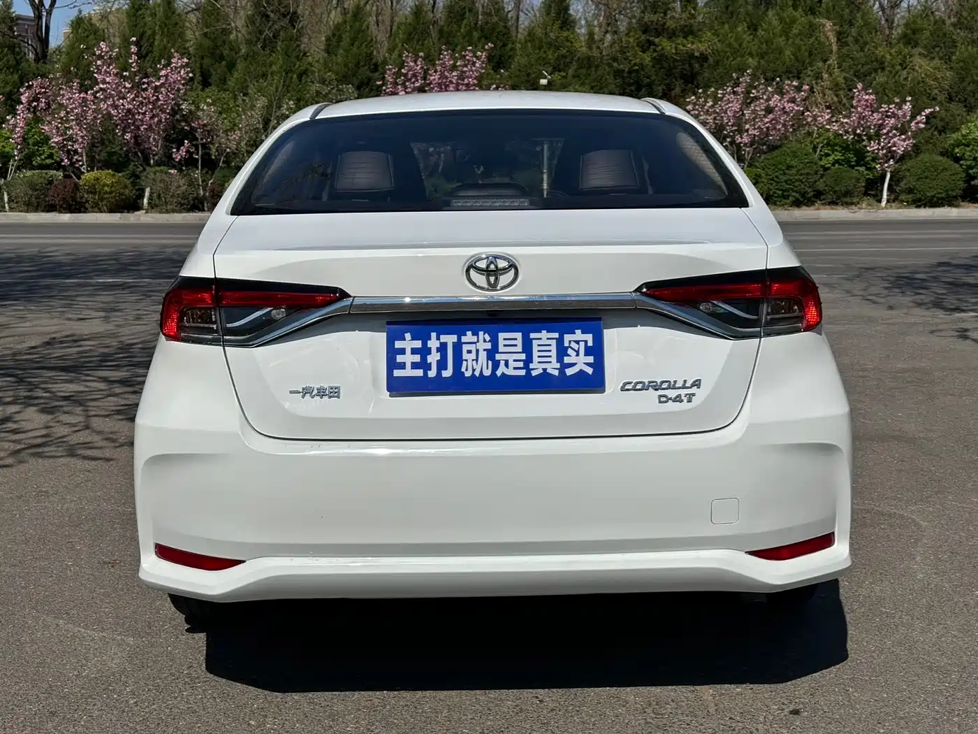 Toyota Corolla 2023 1.2T Elite Edition фото 10